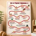 Life of Prophet Muhammad ﷺ  | Learning Chart